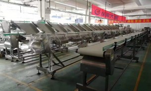 海參捕撈季將至，海參重量大小自動分級秤正緊密備貨中