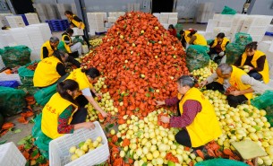 自動(dòng)化分揀稱重設(shè)備：助力生鮮、凍貨及食品加工行業(yè)突破瓶頸