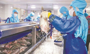 解析水產配重機如何實現(xiàn)水產產品精準配重及產業(yè)應用價值