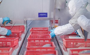 重量分級不準的破題之選 - 珠海大航重量分選機