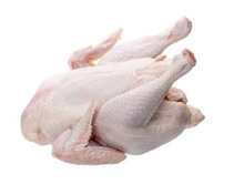 白條雞重量分選機(jī)配套自動提升機(jī)整套設(shè)備視頻