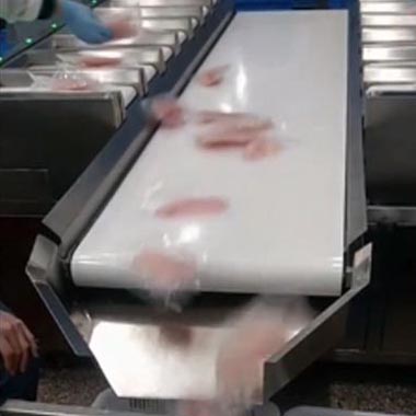 魚片稱重分裝 魚片稱重分裝