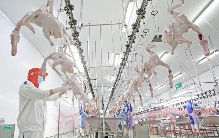 1701313888131122.jpg 1701313888131122.jpg